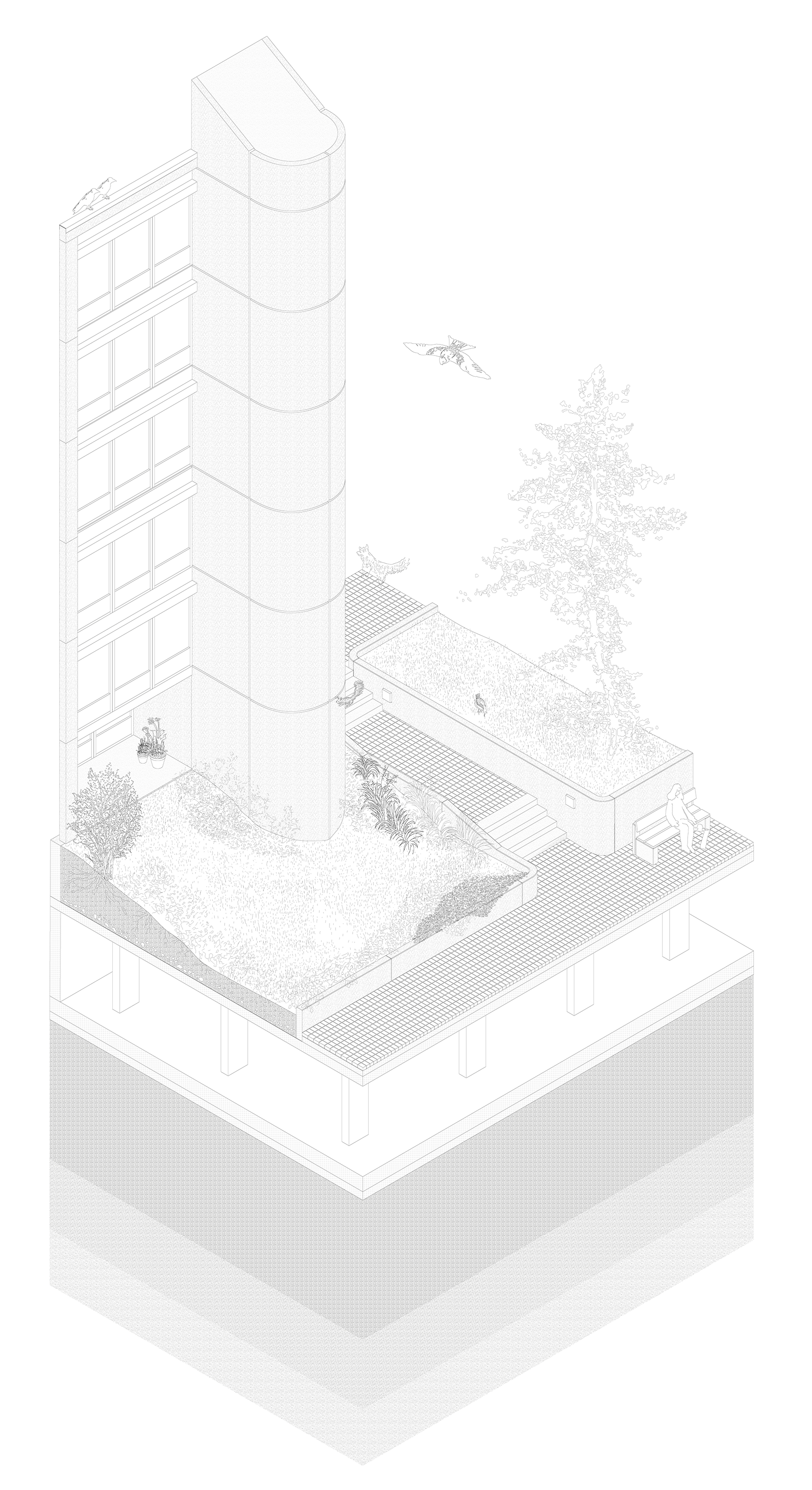 Axonometric section, illustrating the artificial ground of the biotope