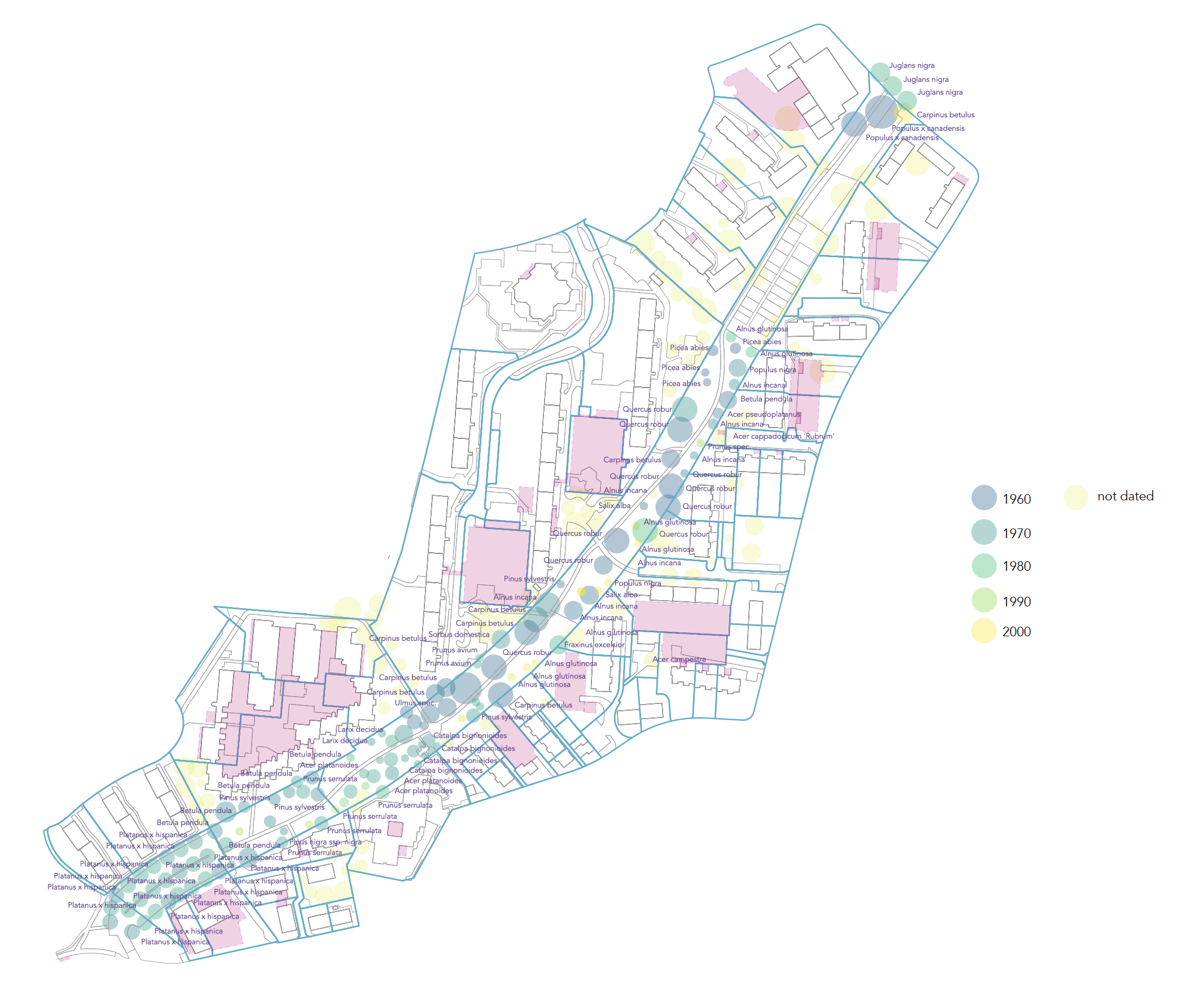 Map of all the trees and the underground parking garages (pink) along Triemlifussweg